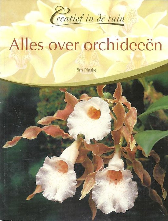 alles over orchideen