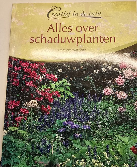 Alles over schaduwplanten