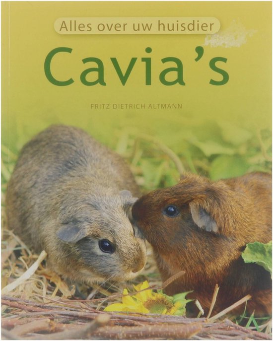 Cavia's