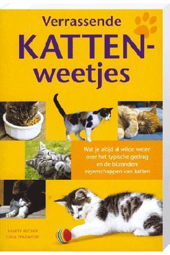 Verrassende Kattenweetjes