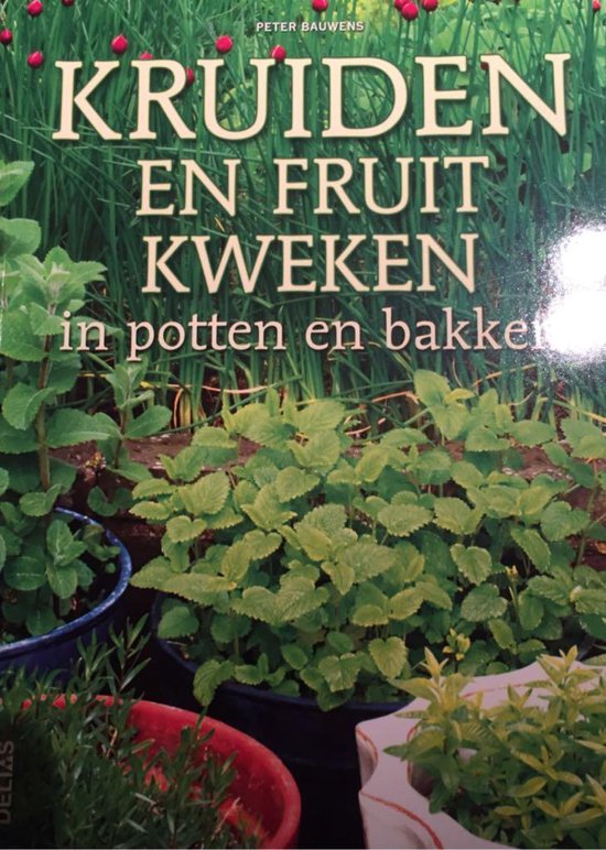 Kruiden en Fruit kweken in potten en bakken