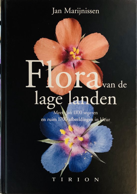 Flora Van De Lage Landen