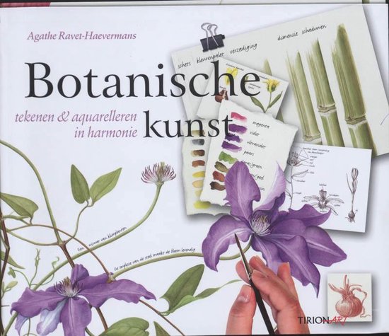 Botanische kunst