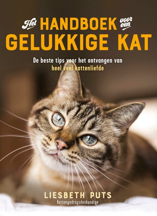 Het handboek voor een gelukkige kat