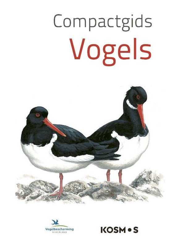 Compactgidsen natuur - Compactgids Vogels