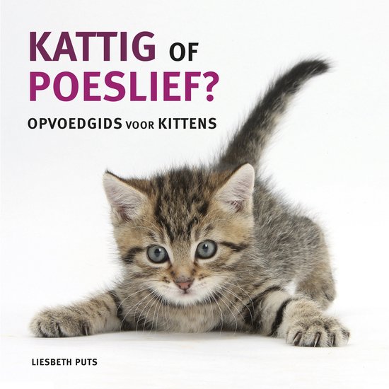 Kattig of poeslief