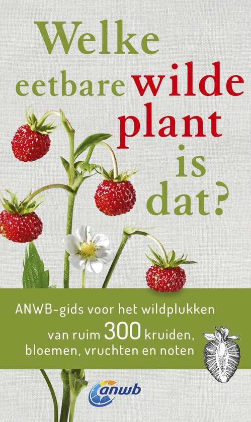 Welke is dat? Natuurgidsen - Welke eetbare wilde plant is dat?