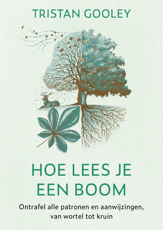 Hoe lees je een boom