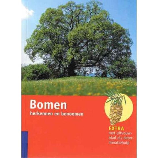 Bomen herkennen en benoemen