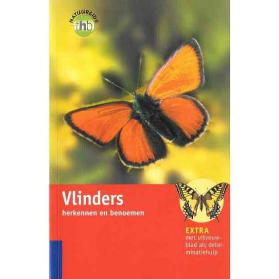 Vlinders Herkennen En Benoemen