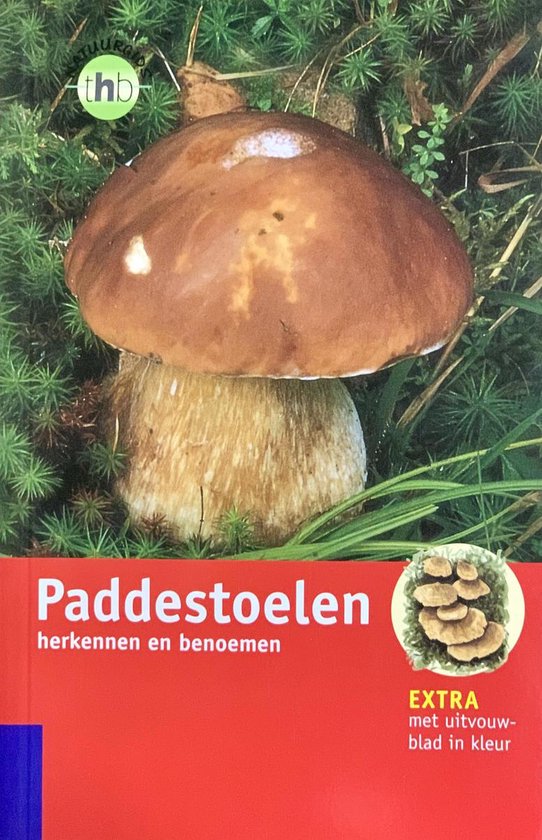 Paddestoelen