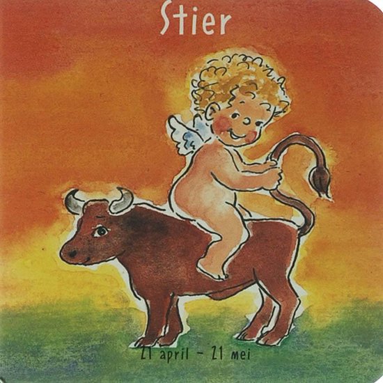 STIER STERRENKINDJES