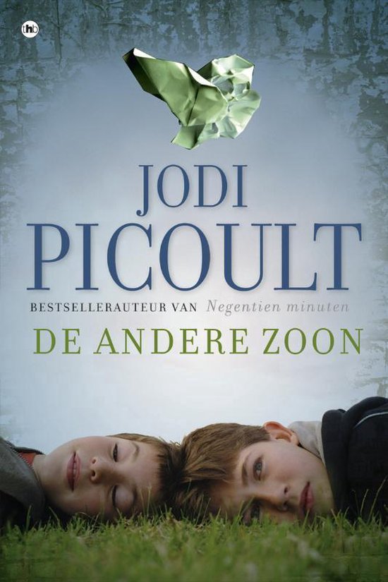 De andere zoon