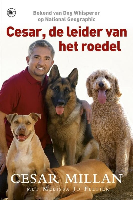 Cesar, de leider van het roedel