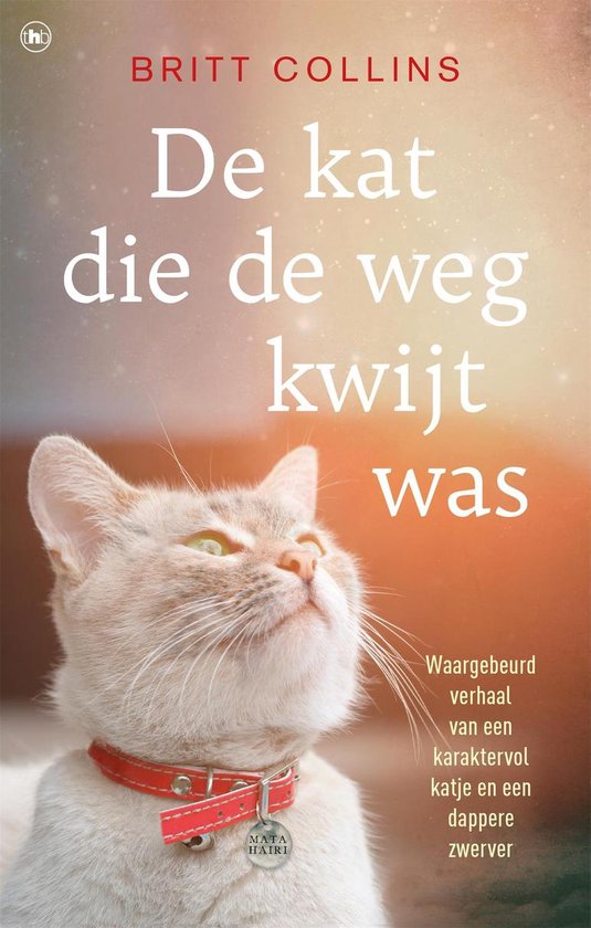 De kat die de weg kwijt was