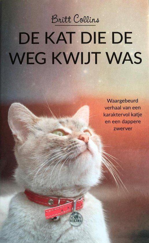 De kat die de weg kwijt was