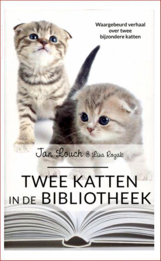 Twee katten in de bibliotheek