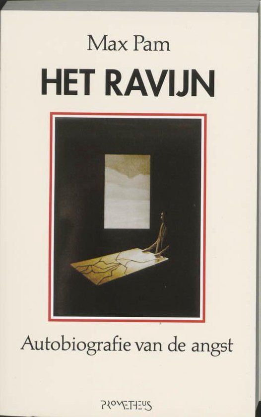 Het ravijn