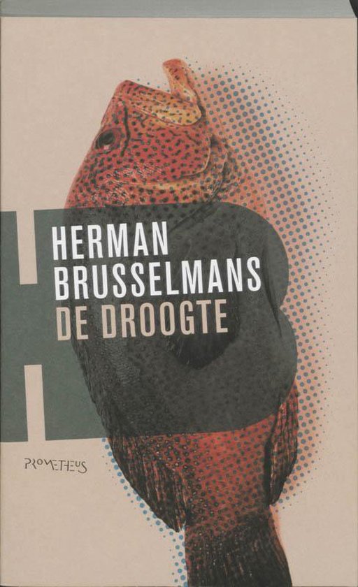 Droogte