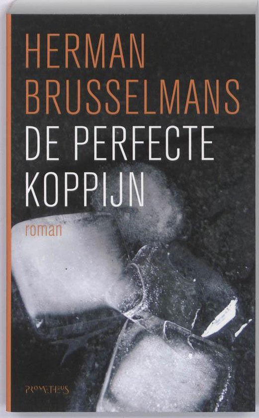 De Perfecte Koppijn