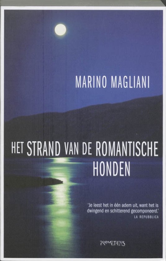 Strand Van De Romantische Honden