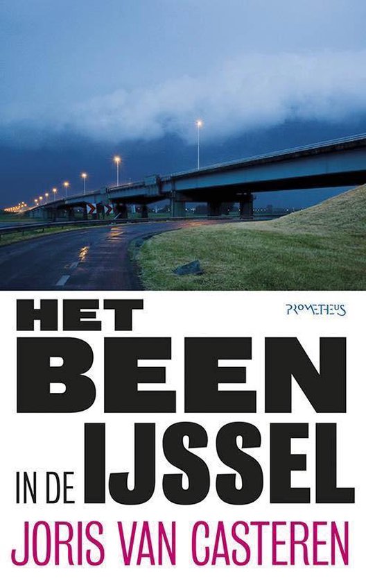 Het been in de ijssel