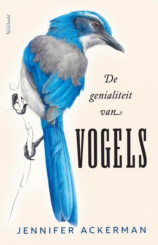 De genialiteit van vogels