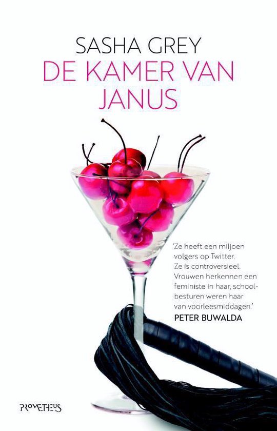 De kamer van Janus