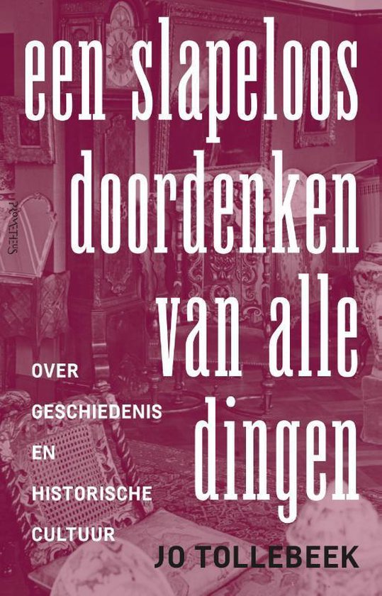 Een slapeloos doordenken van alle dingen. Over geschiedenis en historische cultuur