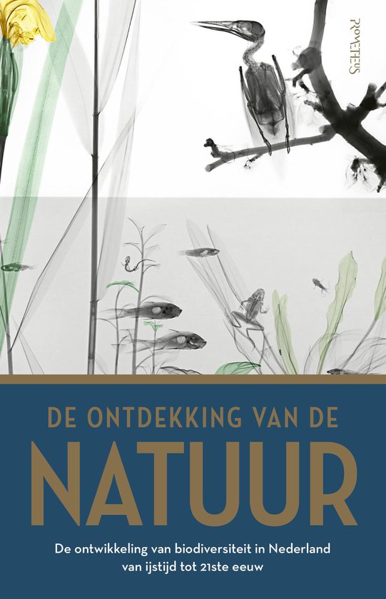 De ontdekking van de natuur