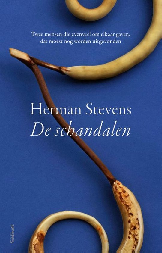 De schandalen