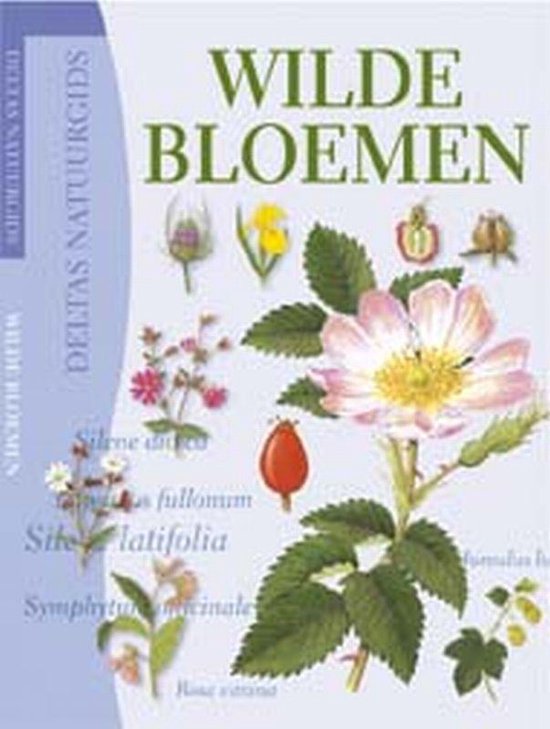 Wilde Bloemen