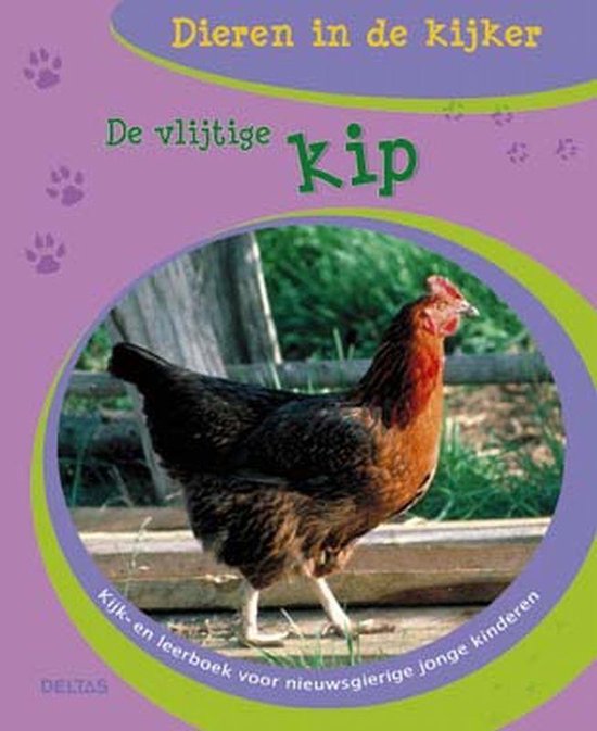 Dieren In De Kijker Vlijtige Kip