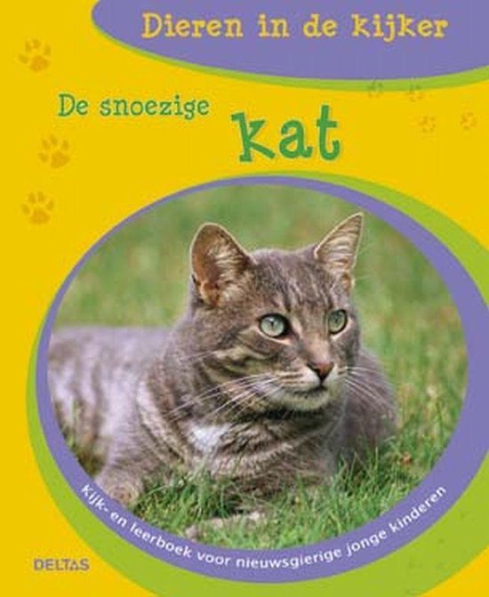 Dieren In De Kijker Snoezige Kat