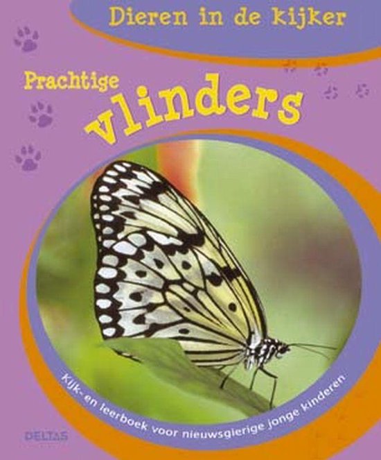 Prachtige Vlinders