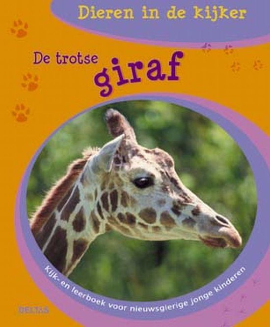 De Trotse Giraf Dieren In De Kijker