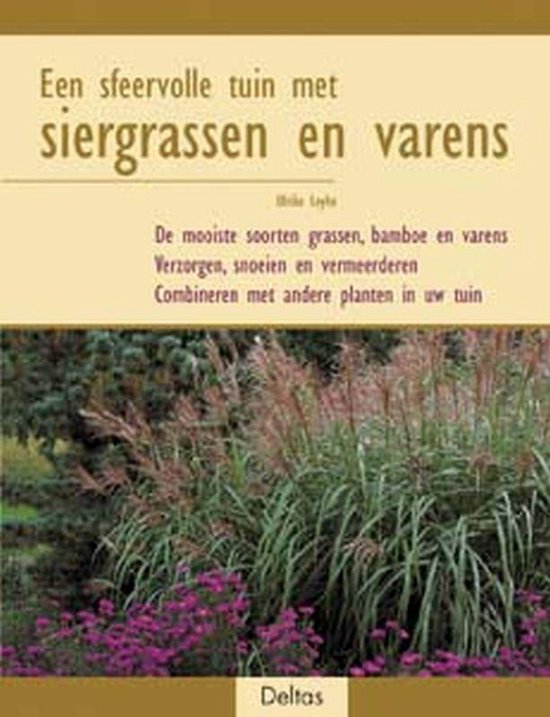 Een sfeervolle tuin met siergrassen en varens