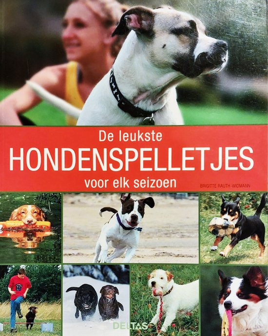 De Leukste Hondenspelletjes Voor Elk Seizoen