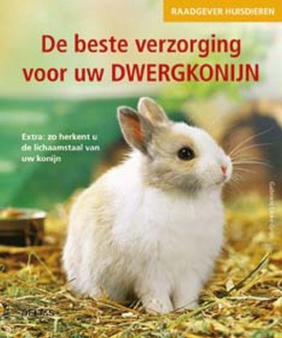 De Beste Verzorging Voor Dwergkonijn