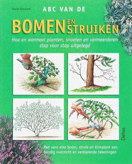 ABC van de bomen en struiken