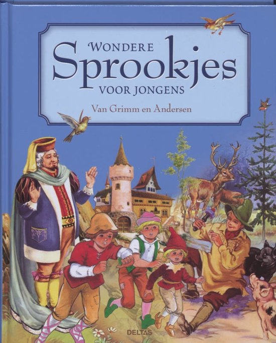 Wondere sprookjes voor jongens van Grimm en Andersen