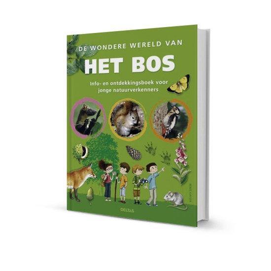 De wondere wereld van het bos