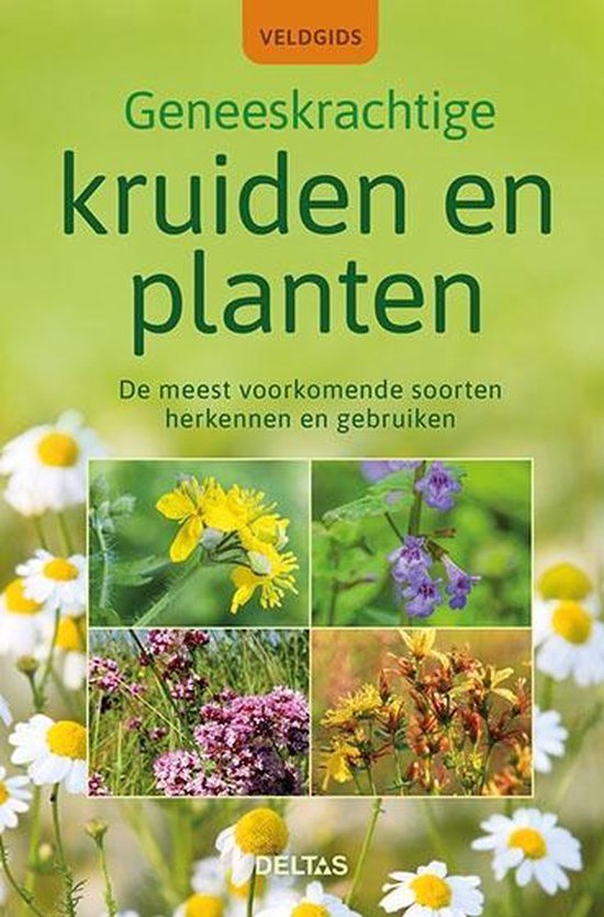 Geneeskrachtige kruiden en planten