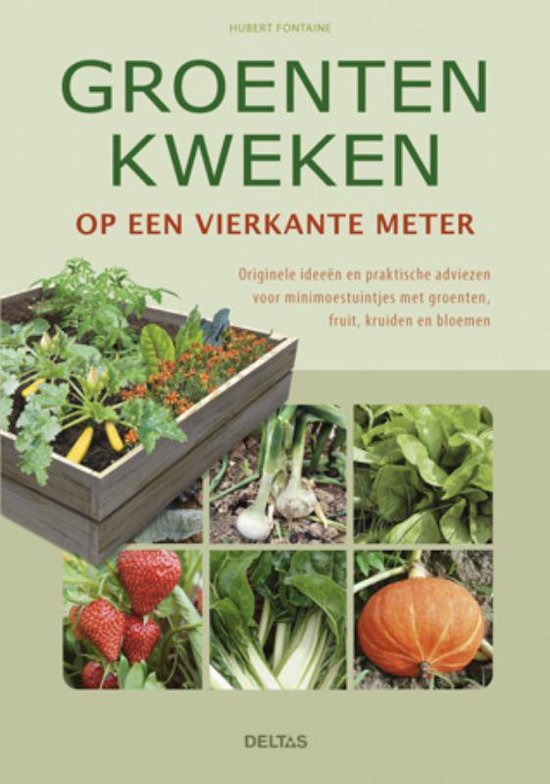 Groenten kweken op een vierkante meter