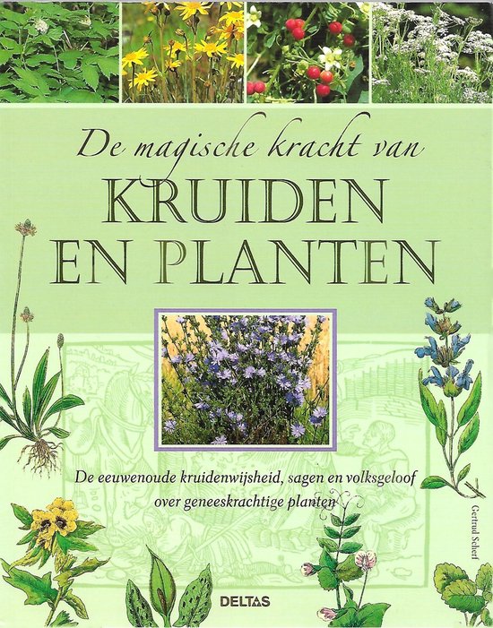 De magische kracht van kruiden en planten