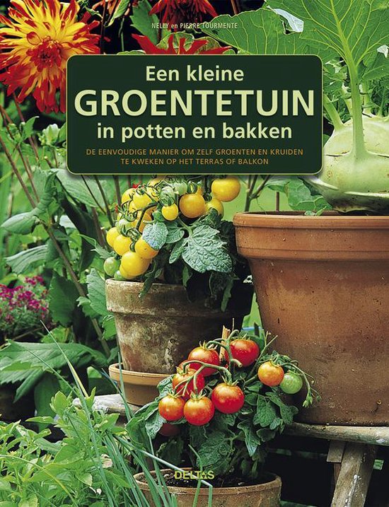 Een kleine groentetuin in potten en bakken