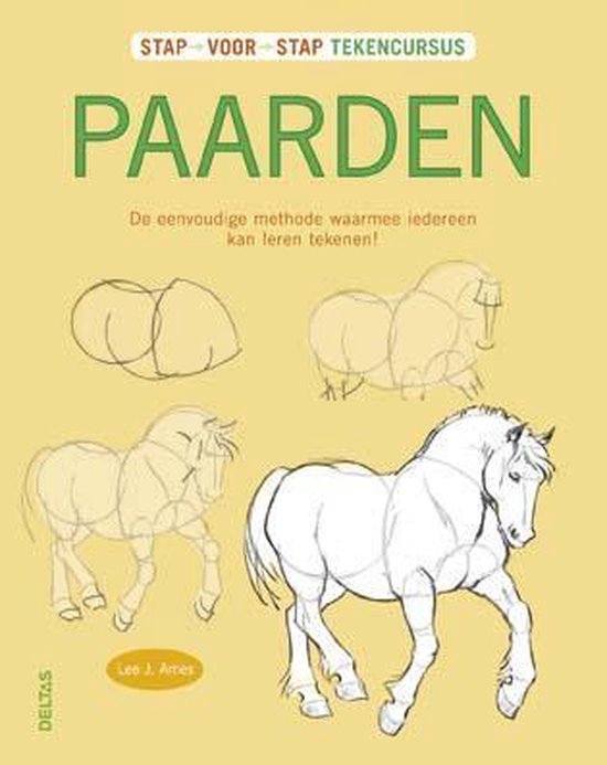 Stap voor stap - Tekencursus paarden