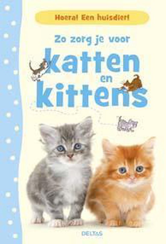 Hoera! Een huisdier! Zo zorg je voor katten en kittens