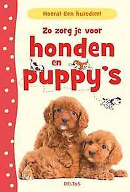 Hoera! Een huisdier! Zo zorg je voor honden en puppy´s