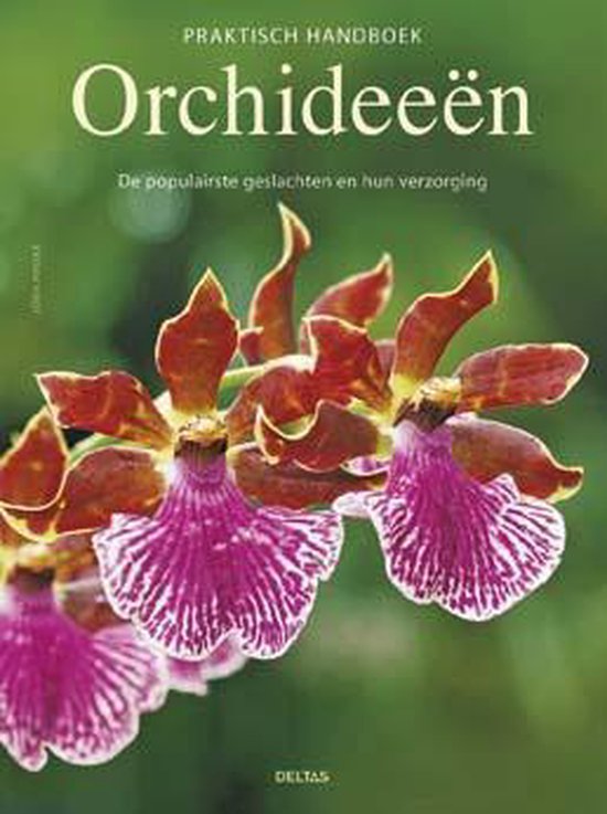 Praktisch handboek orchideeen